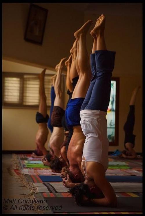 Саламба Ширшасана. 