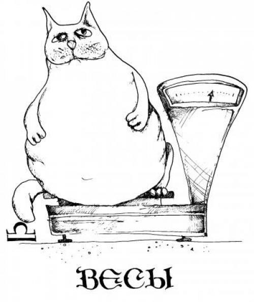 Чем отличаются знаки зодиака от гороскопа. Чем отличаются знаки зодиака (текст + 12 картинок)