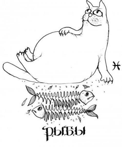 Чем отличаются знаки зодиака от гороскопа. Чем отличаются знаки зодиака (текст + 12 картинок)