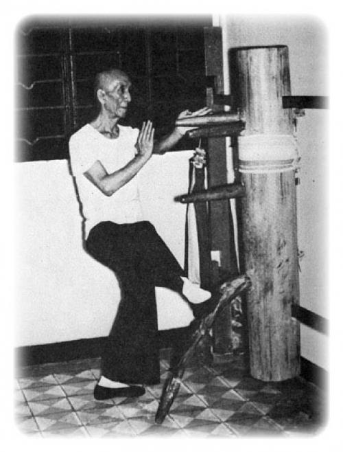 Деревянный человек Кунг-фу. 116 Движений Вин Чун Ип Мана