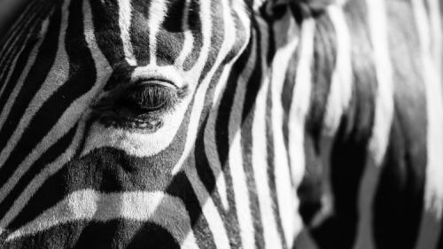 Как впасть в депрессию за 10 минут если ты школьник. 10 гарантированных способов впасть в депрессию