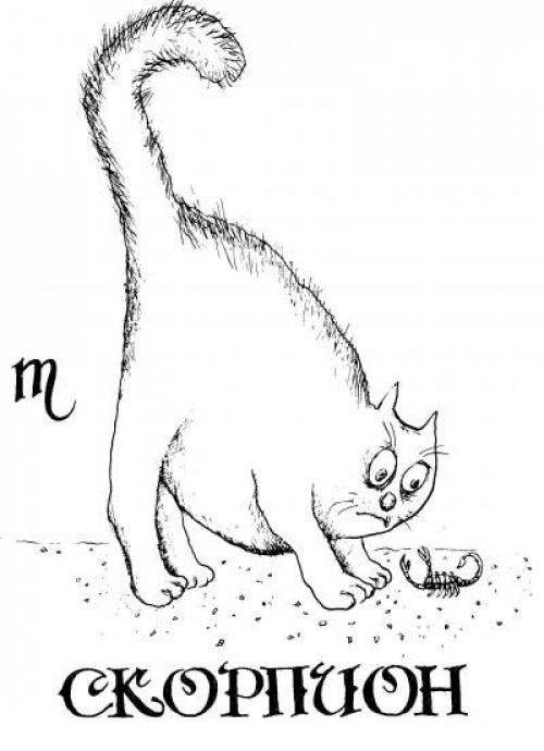 Чем отличаются знаки зодиака от гороскопа. Чем отличаются знаки зодиака (текст + 12 картинок)