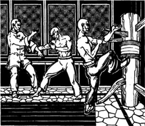 Деревянный человек Кунг-фу. 116 Движений Вин Чун Ип Мана