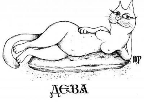 Чем отличаются знаки зодиака от гороскопа. Чем отличаются знаки зодиака (текст + 12 картинок)