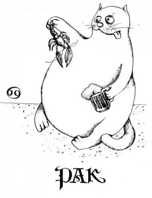 Чем отличаются знаки зодиака от гороскопа. Чем отличаются знаки зодиака (текст + 12 картинок)