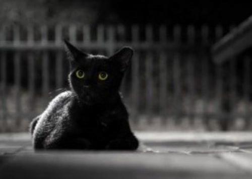 Что означает черный цвет. Любовь к чёрному в одежде: что это означает в психологии?