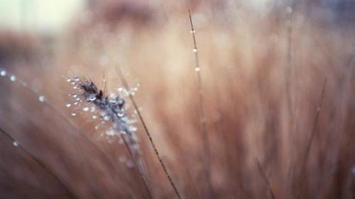 Арина Цианова кто это. В моей голове есть отдельное место...