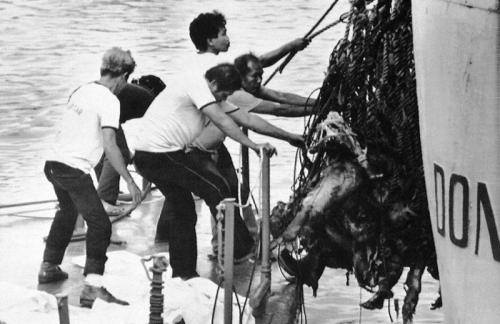 Крушение парома Донья Пас филиппины 1987.  "Донья Пас" Про это в Голливуде фильм не снимут.