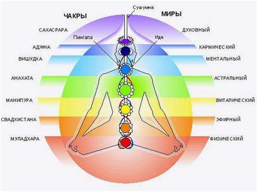 Нади Шодхана пранаяма техника выполнения. Пранаяма Нади Шодхана – альтернативная техника дыхания через нос