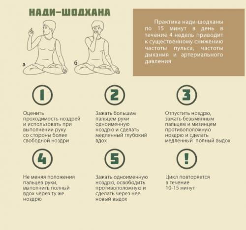 Нади Шодхана пранаяма техника выполнения. Пранаяма Нади Шодхана – альтернативная техника дыхания через нос