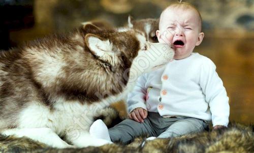 Как лечатся фобии у детей. Детские фобии. Причины появления, развитие и методы борьбы с ними