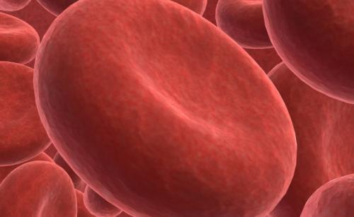 Боязнь солнечного света болезнь. Светобоязнь – заболевание или психологическая особенность организма 03