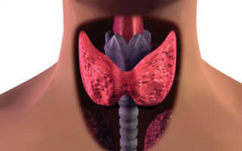 Лекарство от сильной боли в горле взрослым. Чем вылечить боль в горле при глотании: топ самых эффективных средств