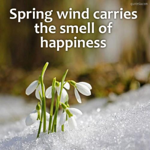 Любимая и счастливая женщина. Как стать счастливой, если ты одна? 11