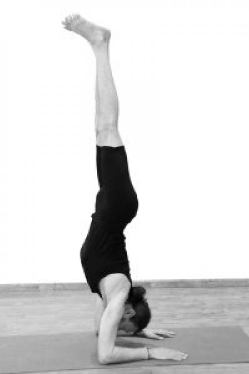 Пинча Маюрасана ютуб. Пинча Маюрасана