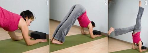 Пинча Маюрасана перевод. Пинча Маюрасана — поза павлина, распустившего хвост