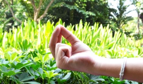 Очень мощная мудра Кубера для исполнения желаний и привлечения богатств