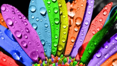 Голубой цвет психология цвета в интерьере. Психология цвета в интерьере: что важно знать 16