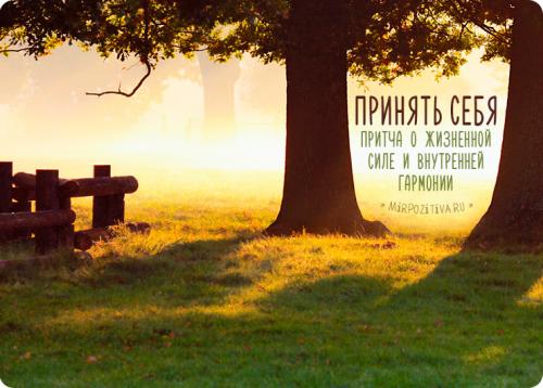 Притча о жизненной силе и внутренней гармонии