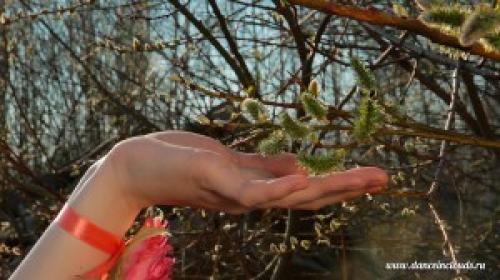 Танец живота и женская энергия. Особенности женских танцев