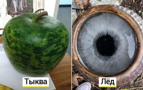 Самые интересные психические расстройства. Редчайшие синдромы и психические расстройства, о которых вы не слышали