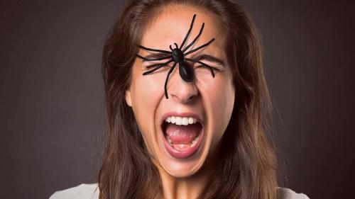 Боязнь насекомых. Как называется боязнь насекомых и методы лечения фобии