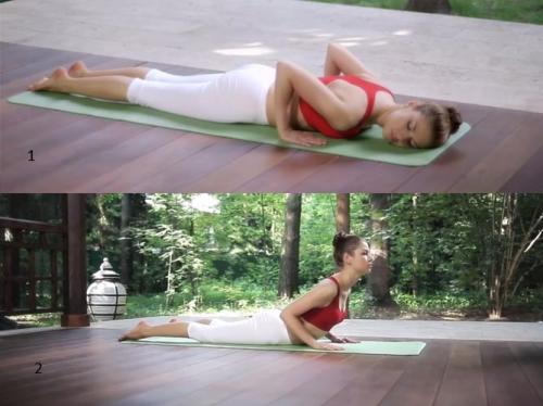 Бхуджангасана:  техника выполнения позы змеи от А до Я