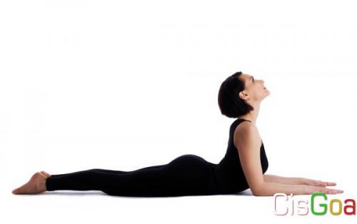 Асана ардха бхуджангасана. Ардха Бхуджангасана — поза сфинкса