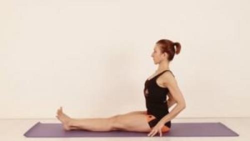 Поза посоха Дандасана – подробное описание для правильной практики йоги