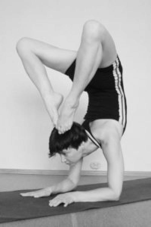 Пинча Маюрасана