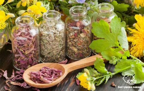 Аюрведа искусство жизни. Что такое Аюрведа