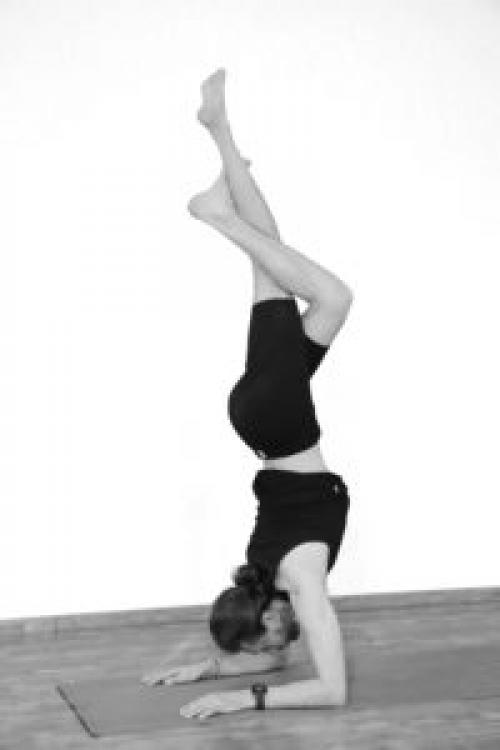 Пинча Маюрасана