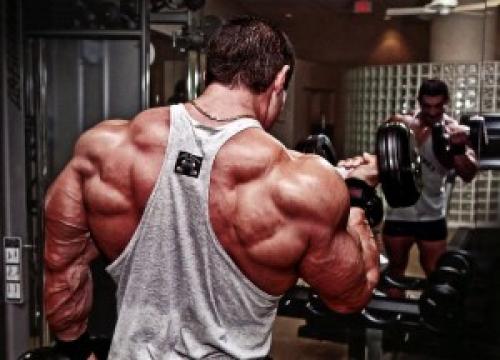 Бхуджапидасана i. Бхуджапидасана