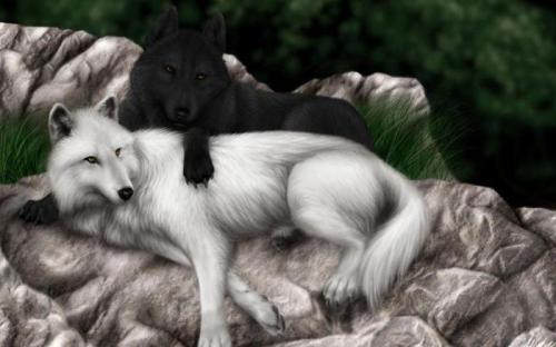 Притчи о добре и зле