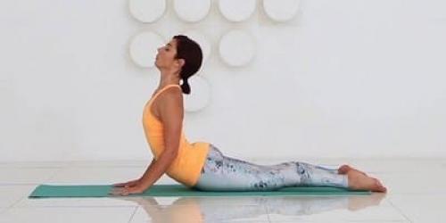 Ардха бхуджангасана i. Секреты Бхуджангасаны и более 10 причин регулярно ее выполнять