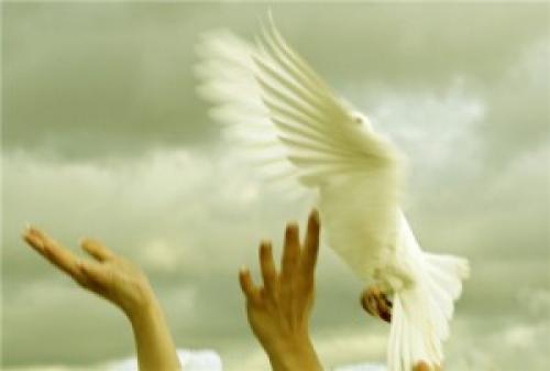 Любовь это свобода выбора. Любовь — это свобода