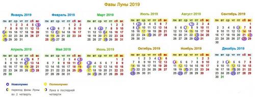 Счастливые числа овна в лотерее. Лотерейный гороскоп Овен 2019