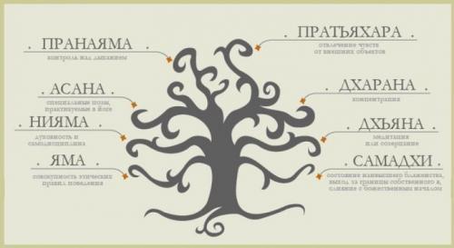 Техники дыхания праной. Что такое пранаяма в йоге?