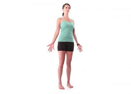 Основные асаны йоги Айенгара из программы для начинающих