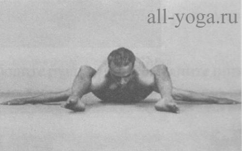 Супта курмасана черепаха. Курмасана и Супта Курмасана