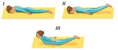 Техника выполнения шалабхасаны (позы кузнечика)