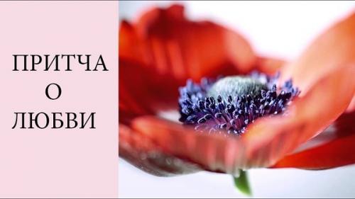 Притчи о жизни с моралью — три коротких рассказа