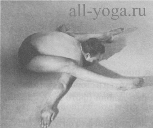 Супта курмасана черепаха. Курмасана и Супта Курмасана