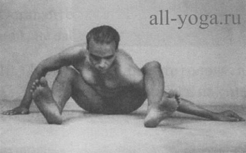 Супта курмасана черепаха. Курмасана и Супта Курмасана