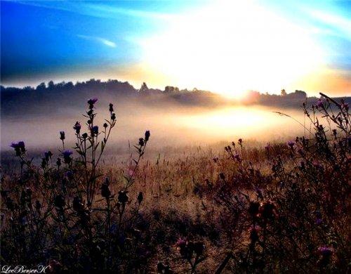 Самые сильные мотивации к действию. 