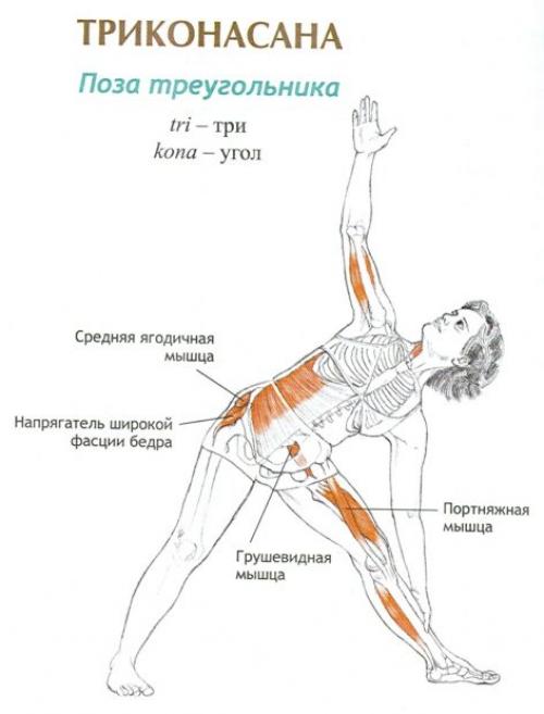 Йога уттхита триконасана позы. Выполнение Уттхиты Триконасаны