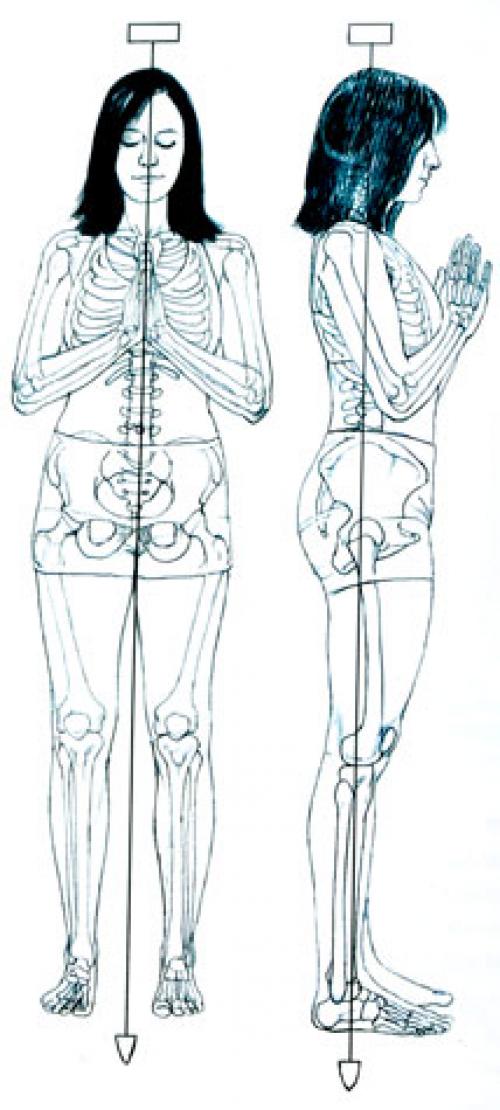 Самастхити это. Самастхити — Поза молитвы
