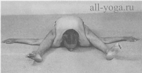 Супта курмасана черепаха. Курмасана и Супта Курмасана
