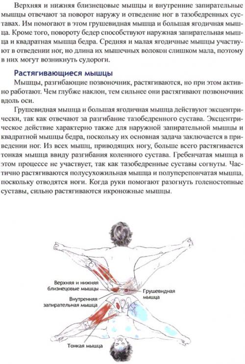 Упавишта конасана. Упавиштха конасана