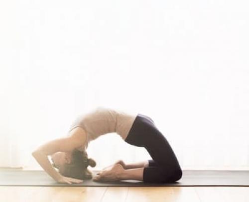 Капотасана для начинающих. Капотасана или поза голубя: глубокий прогиб для продвинутых в йоге